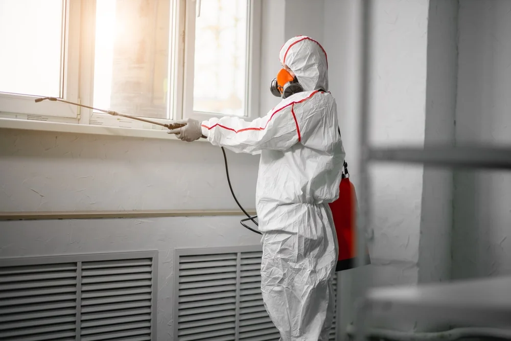 Professional mold remediation services in Gilbert, IA